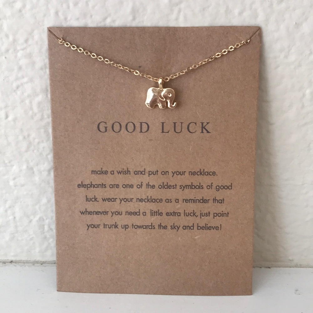 Good Luck Necklace